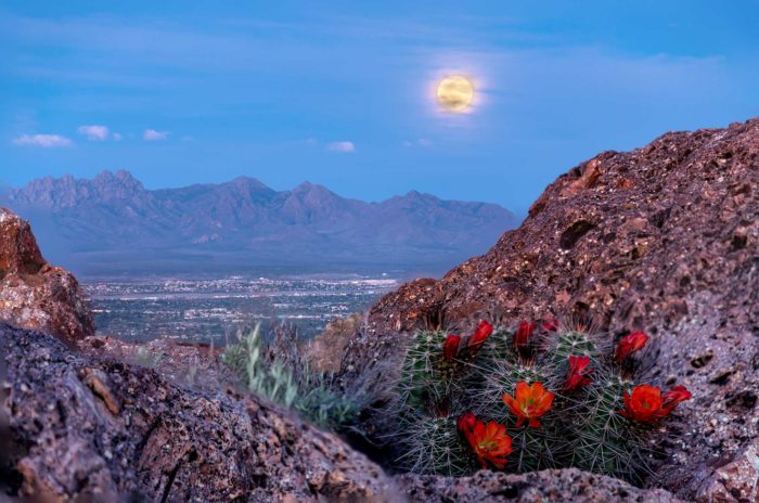 Cruces mesilla cuethat tourism